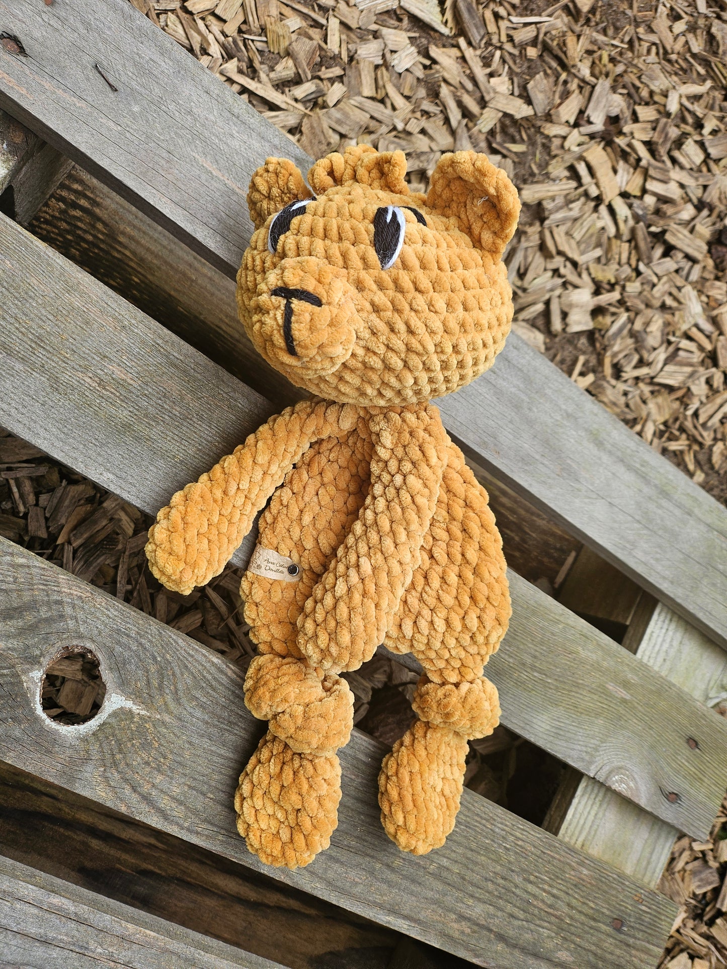 Petit Ours