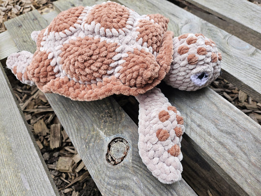 Moyenne Tortue Caouanne