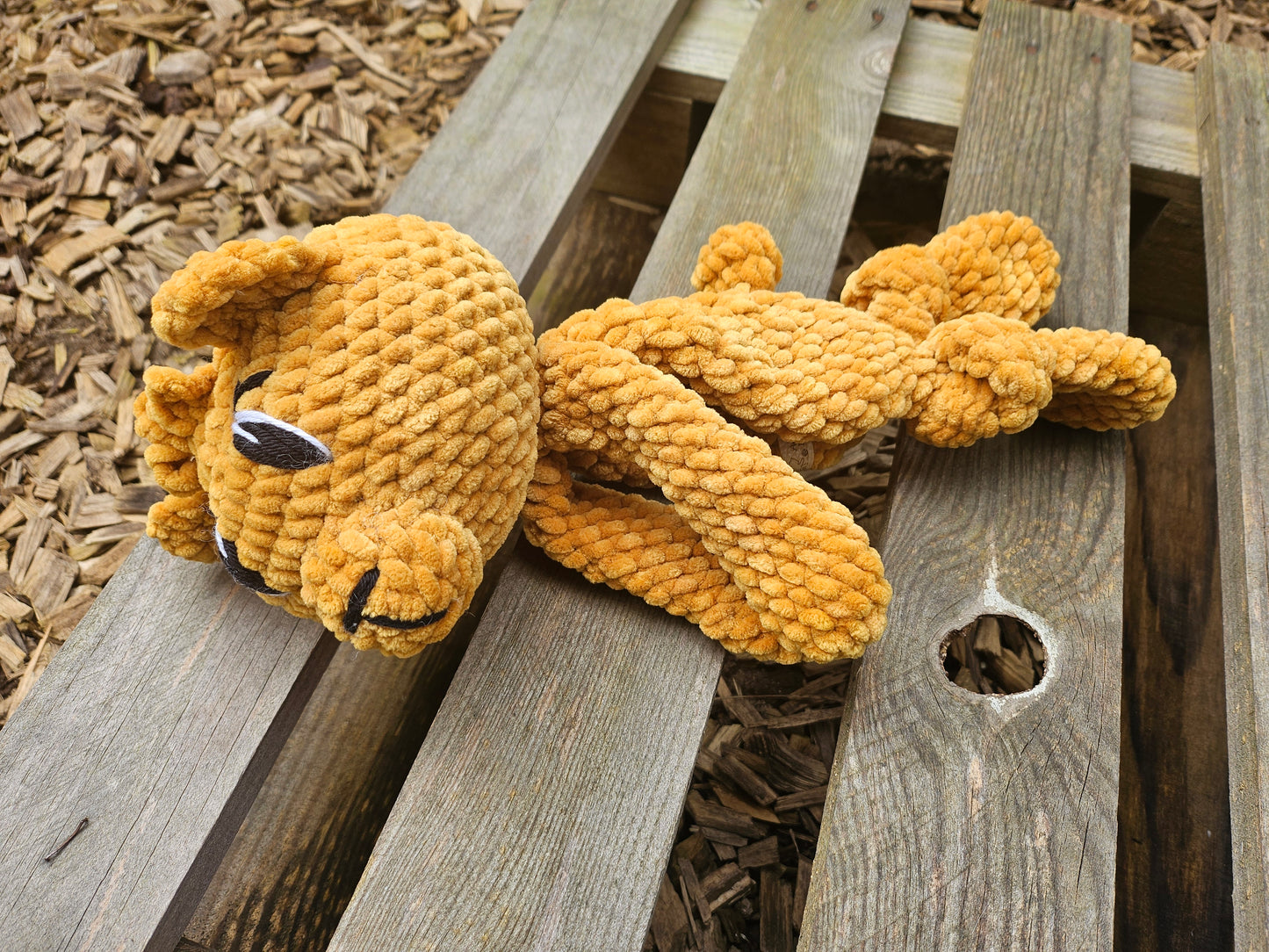 Petit Ours
