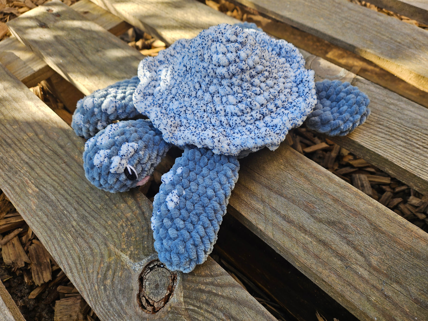 Petit tortue de mer