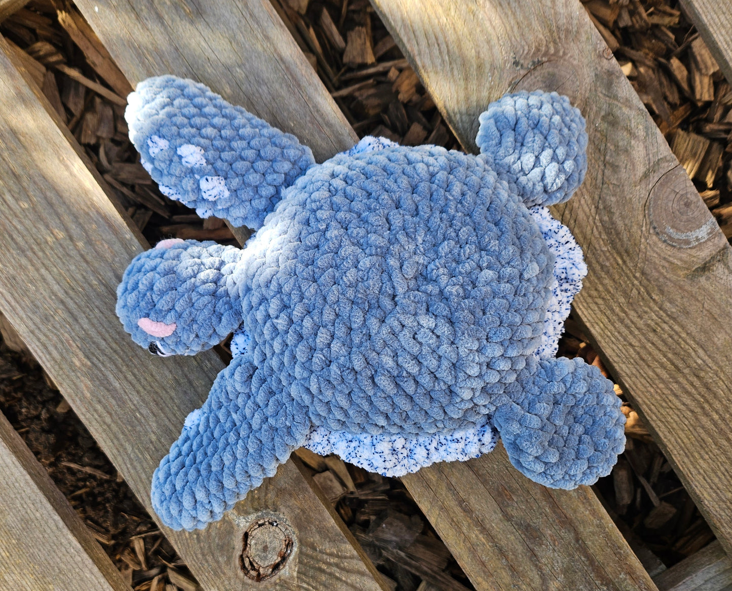 Petit tortue de mer