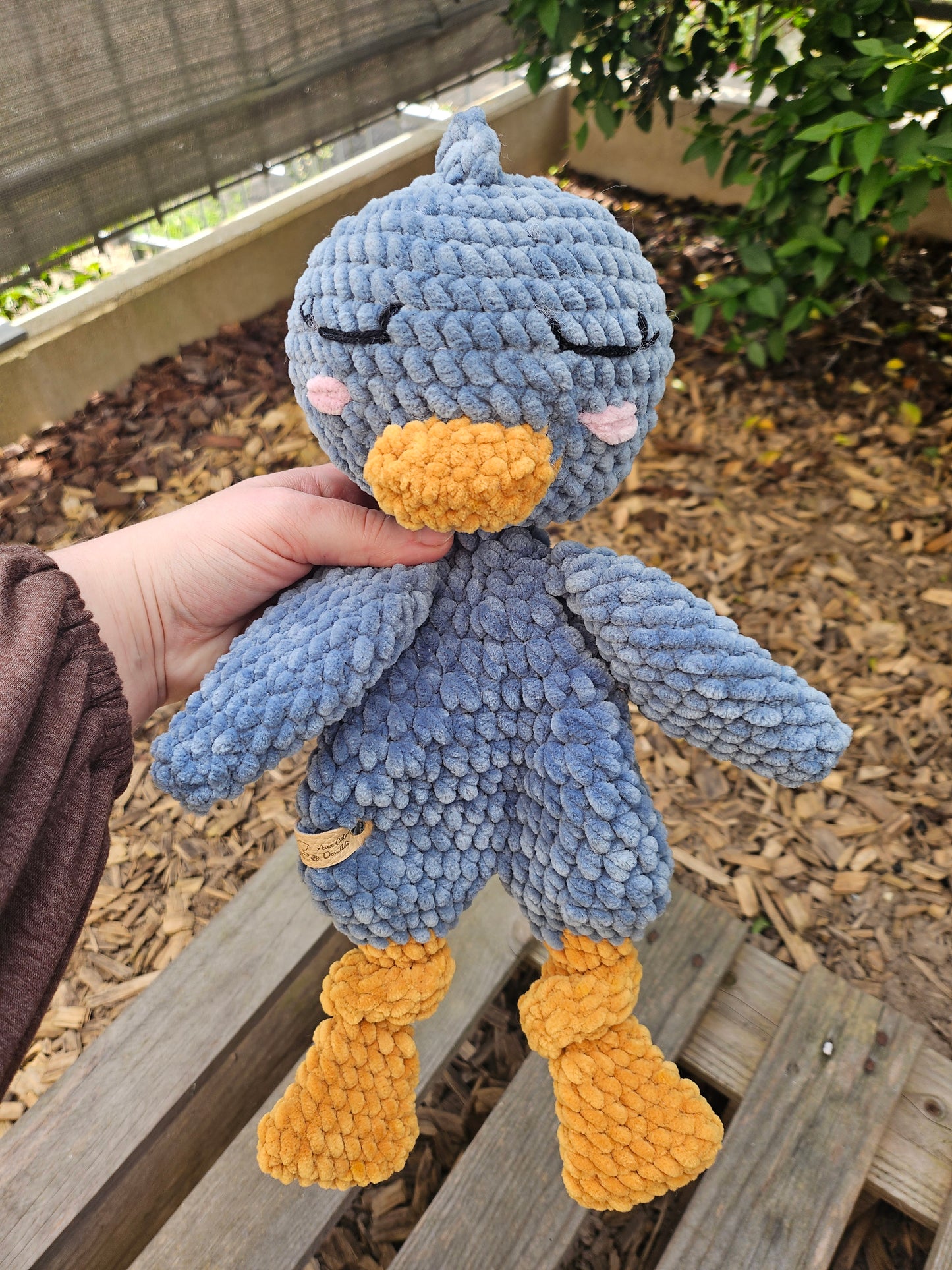 Canard Câlin