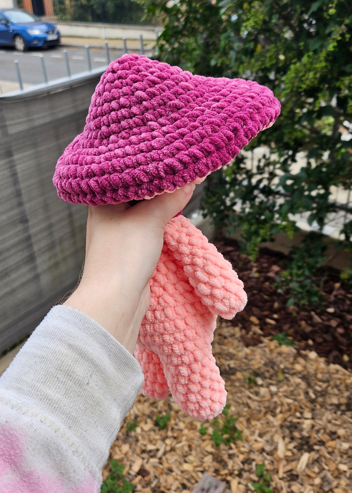 Madame Champignon